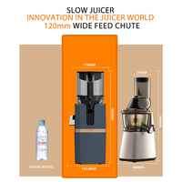 SJ-071 250W Draagbare Elektrische Vers Sap Machine Thuis Fruit Koude Pers Trage Citrus Juicer Extractor Voor Huishoudelijk Gebruik