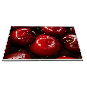 Pantalla LCD de 21.5 Pulgadas G215HVN01.1, Resolución 1280x1024, Luminancia <span class=keywords><strong>350</strong></span> cd/m², Pantalla Comercial para Mantenimiento de Máquinas - Product Image 1