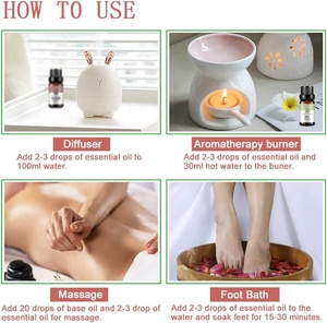 Nhãn Hiệu Riêng Hoa Tinh Dầu Hoa Anh Đào Hoa Mẫu Đơn Hoa Sen Lily Hoa Phong Lữ 100% Tinh Khiết Hương Liệu Khuếch Tán Dầu Thiết Lập - Product Image 2