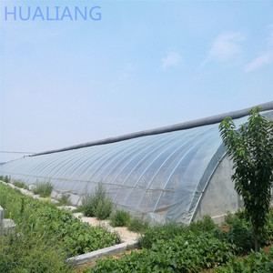 ठंड की सर्दियों में कृषि के लिए मिट्टी/पृथ्वी/ईंट की दीवार के साथ कनाडा निष्क्रिय सौर ग्रीनहाउस - Product Image 5