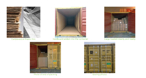 100% orgainic vỏ tự nhiên bị hỏng linh chi Nấm <span class=keywords><strong>Ganoderma</strong></span> <span class=keywords><strong>lucidum</strong></span> bào tử bột - Product Image 5