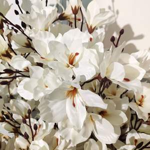 Arbre artificiel de <span class=keywords><strong>magnolia</strong></span> à <span class=keywords><strong>prix</strong></span> d'usine en gros, décoration de centre de table de mariage, extérieur, Noël, durable, écologique - Product Image 5