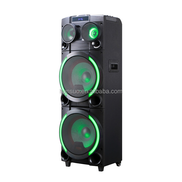 Dual 12 Inch Media 100W High Power Party Speaker HS-TD12P8