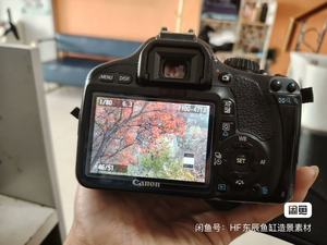 กล้อง <span class=keywords><strong>EOS</strong></span> <span class=keywords><strong>550D</strong></span>+18-55MM นิคอน DSLR ขายส่ง ของแท้ มือสอง กล้องดิจิตอลพร้อมแบตเตอรี่และที่ชาร์จแบตเตอรี่ - Product Image 6