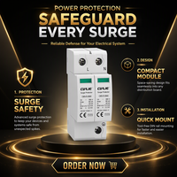 Dispositif de protection contre les surtensions CUAJE OBV5-B80 2P 275V 80kA SPD Rail DIN Protection contre les surtensions AC IEC/EN 61643-11