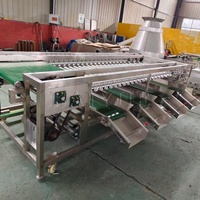 Sorteermachine voor appels, uien, citrusvruchten en groenten
