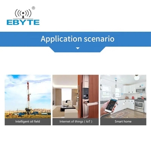 อีไบท์ E70-915NW1 โซลูชั่นโมดูลไร้สาย IoT 4S 200 โหนด สตาร์ ฮอค เน็ตเวิร์ค 915mhz โมดูลรับส่งสัญญาณ RF - Product Image 6