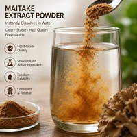 Extrait de champignon Maitake naturel en poudre, 30% 50% de polysaccharides, complément alimentaire de qualité alimentaire