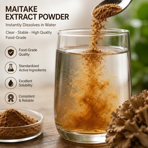 Extrait de champignon Maitake naturel en poudre, 30% 50% de polysaccharides, complément alimentaire de qualité alimentaire - Product Image 5