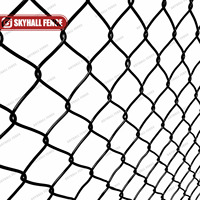 Valla de eslabones de cadena resistente a la corrosión con recubrimiento en polvo negro y verde de Venta caliente para campo deportivo y parque de jardín