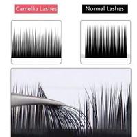 Cils en Fibre PBT Coréenne Professionnels en Gros, Super Doux, Noirs, Faits Main, Forme Ellipse, Naturels, Longs, Boucles Stables, Lisses comme du Vison