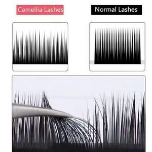 Venta al por mayor volumen profesional Camelia pestañas Super suave negro hecho a mano elipse pestañas extensiones Camelia pestañas - Product Image 3