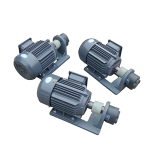 WBZ Horizontale Zahnradpumpen-Motoreinheit 0,55KW 0,75KW Gusseisen Werkzeugmaschinen-Schmierung - Product Image 1