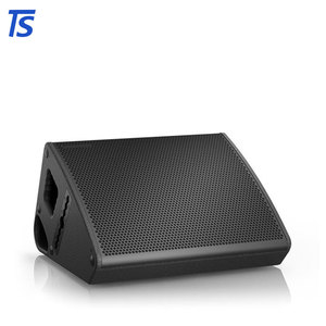 Altavoz Pasivo C15 de 15 Pulgadas para Prácticas de Bandas de Marcha Profesionales o Conciertos a Gran Escala - Product Image 1