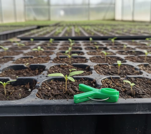 Offre Spéciale – Clips de greffage à ressort en plastique vert de haute qualité, haute performance, pour concombres, aubergines et <span class=keywords><strong>tomates</strong></span> (pour le marché international) - Product Image 3