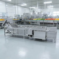 Avocado Kokosnoot Ananas Fruit Groente Was- en Verwerkingsmachine met Sterilisatie Continue Transport Multifunctioneel