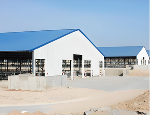 Bâtiment d'élevage avicole préfabriqué en structure acier avec équipement de cages automatiques - Product Image 1