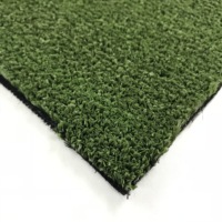 Gazon artificiel imperméable pour cricket, hauteur de poils de 10 mm, pour intérieur, synthétique, haute densité PE SF10