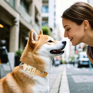 Collar de nailon de lujo personalizado ajustable para perro, collar de entrenamiento duradero con estampado de correas con grabado láser - Product Image 2