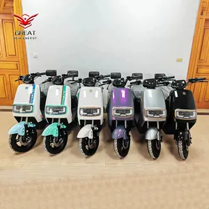 2024 yüksek kalite ucuz 1000w 48v 60v elektrikli Scooter elektrikli motosikletler yetişkinler için elektrikli bisiklet motosiklet