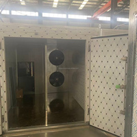 Armoire de séchage à air chaud commerciale en acier inoxydable, équipement industriel de déshydratation pour légumes, fruits et herbes (piment rouge)