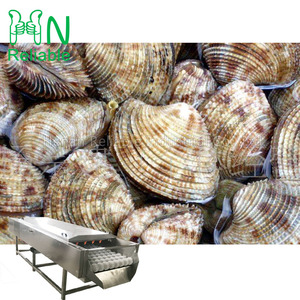 Machine automatique de nettoyage des fruits de mer en acier inoxydable avec moteur pour le nettoyage des moules et des coquilles Saint-Jacques - Product Image 1