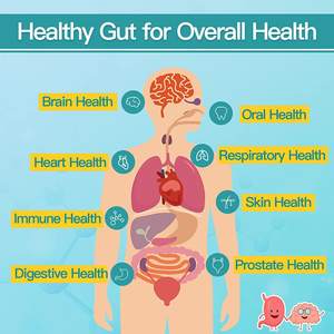 Mezcla de superalimentos para la Salud Alimentaria, polvo orgánico de espirulina, clorella probiotica, Canneds, venta al por mayor - Product Image 2