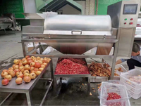 Granaatappel Dunschiller Machine Granaatappelzaden Verwijderaar Machine Granaatappel Separator Verwerkingsmachine