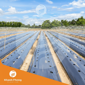 Film de paillage agricole en gros pour le recouvrement des lits, disponible en transparent et en couleurs personnalisées - Product Image 1