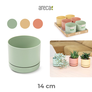 Vaso per Areca 14 cm Colori Assortiti per Piante da Interno - Product Image 1