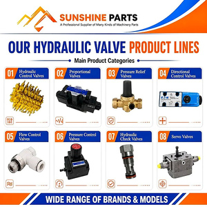 Vanne de retenue hydraulique unidirectionnelle pilotée réglable à haut débit ODM pour machines minières et systèmes d'excavatrices - Product Image 4