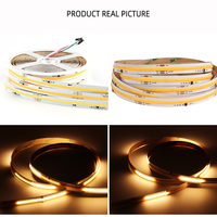 WS2811 SPI Adressable IC COB Bande lumineuse chassant l'eau courante Bande lumineuse LED flexible 24V pour décorations de Noël