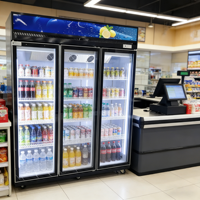 Refrigerador Comercial para Bebidas de Tienda de Conveniencia, Vitrina Refrigerada con Enfriamiento por Aire, Refrigerador Vertical Mecánico de 2 Puertas