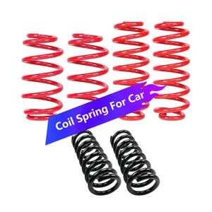 Custom Compression Spring Fabricante Boa qualidade Helicoidal Compression Door Closer Coil Spring Auto Parts