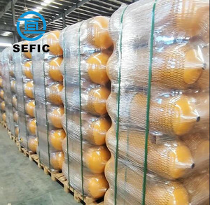 النوع 1!!! 50 لتر 200 بار طبيعي مضغوط من السوق النيجيري - Product Image 1