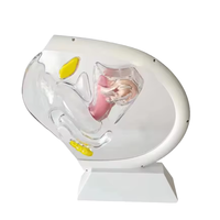 Modelo de Sistema Reproductivo Femenino Transparente de PVC KyrenMed KR-077, Modelo Anatómico Pélvico con Útero Desmontable, Copa Menstrual
