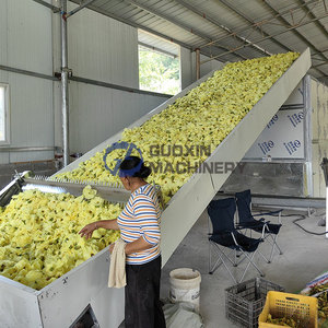 Máquina Secadora de Flores de Alta Capacidad con Cinta de Malla, Máquina de Secado de Girasoles con Cinta de Malla, Máquina Secadora de Flores de Locust Negro con Cinta de Malla - Product Image 3