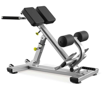 Chaise Romaine Ajustable pour Hyperextension – Banc Commercial de Gymnastique pour Renforcement du Dos et du Core – Équipement de Fitness