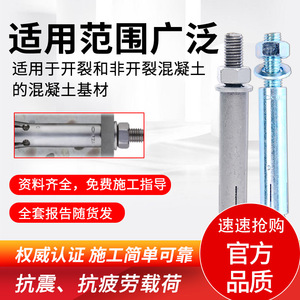 พุกเหล็กขยายตัว Fischer Chemical Anchor ขนาด M10 M12 M16 สำหรับคอนกรีต - Product Image 4