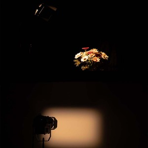 미니 프레넬 50TZ 50W 극장 디스플레이 비디오 프레넬 스포트라이트 20 ° -80 °   수동 줌 LED DMX 웜 콜드 화이트 디밍 무대 조명 - Product Image 4