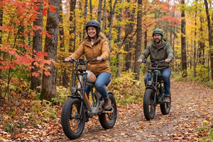 20インチファットタイヤ電動マウンテンバイク 7速 48Vリアハブモーター 大人用 48Vリチウムバッテリー 米国倉庫発送 - Product Image 3