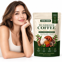 Poudre de café aux champignons OEM Lion's Mane, Reishi, Chaga, Cordyceps – Mélange énergisant et bien-être – Marque privée – Vente en gros en vrac
