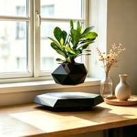 Maceta Flotante Magnética Moderna para Decoración de Escritorio, Regalo Tecnológico para Plantas