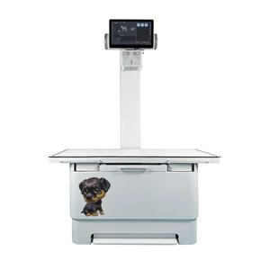 IN-VDR320A10 Solution médicale, appareil d'échographie à haute fréquence, appareil de numérisation numérique pour chiens, réutilisable - Product Image 4