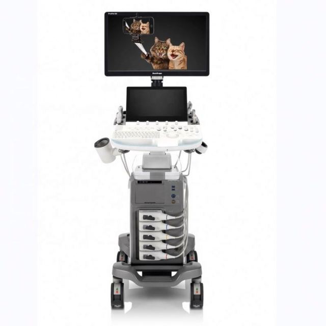 4D/5D Ultrasound Machine Veterinary/17Mhz High Frequency Ultrasound SonoScape Ultrasound Imaging Diagnosis
