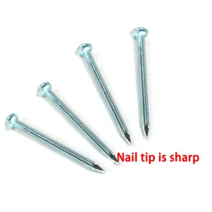 The Factory Directly Sells Galvanized Straight Grain Concrete Steel Nails