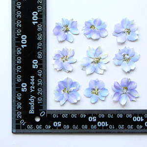 Flores Secas <span class=keywords><strong>de</strong></span> Houldstooth, Flores Prensadas para Manualidades, Marcador con Relieve, Flores Secas en Goma, Carcasa <span class=keywords><strong>de</strong></span> Teléfono con Flores Secas, Especímenes <span class=keywords><strong>de</strong></span> Plantas - Product Image 5
