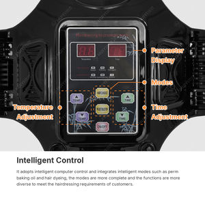 HD009 Équipement de salon de Offre Spéciale Sèche-cheveux vertical professionnel - Product Image 4