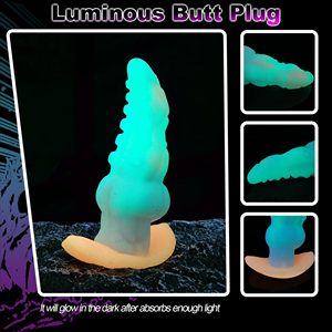 leuchtender anal plug Ferngesteuerter leuchtender Buttplug