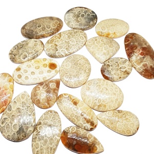 Cristales de Coral Fossilizado Natural de Primera Calidad, Mixtos, Lisos, Cabujón, Piedras Preciosas Sueltas, Hechas a Mano, para la Fabricación de Joyería, Suministro al por Mayor - Product Image 4